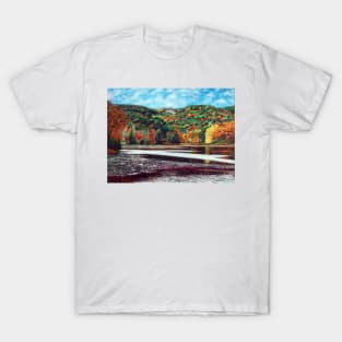 'OVERLOOKING BASS LAKE (CONE MANOR)' T-Shirt